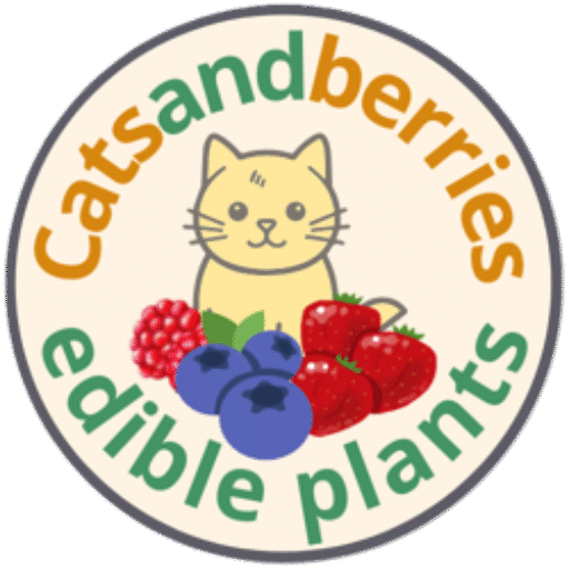 Catsandberries