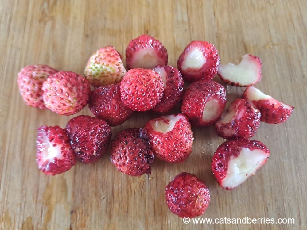 Fragaria moschata "Marie Charlotte"